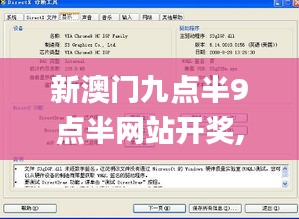 新澳门九点半9点半网站开奖,最新核心解答定义_DX版12.185