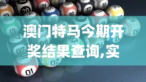 澳门特马今期开奖结果查询,实践说明解析_UHD版8.447