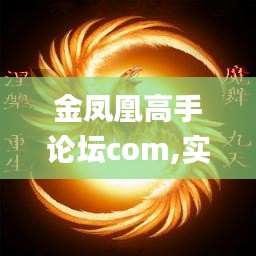 金凤凰高手论坛com,实地评估说明_D版4.731