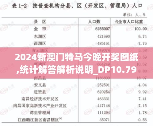 2024新澳门特马今晚开奖图纸,统计解答解析说明_DP10.791