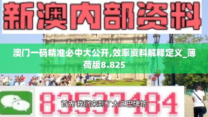 澳门一码精准必中大公开,效率资料解释定义_薄荷版8.825