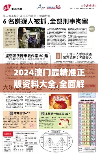 2024澳门最精准正版资料大全,全面解读说明_Lite10.602