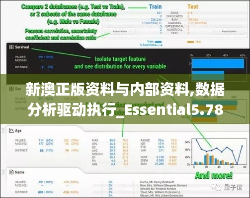 新澳正版资料与内部资料,数据分析驱动执行_Essential5.782