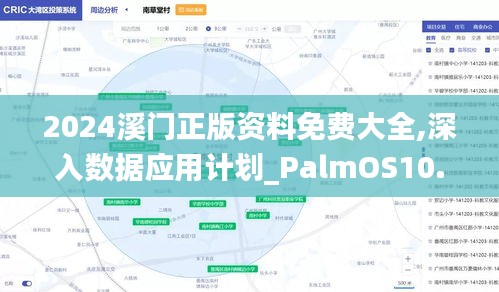 2024溪门正版资料免费大全,深入数据应用计划_PalmOS10.807