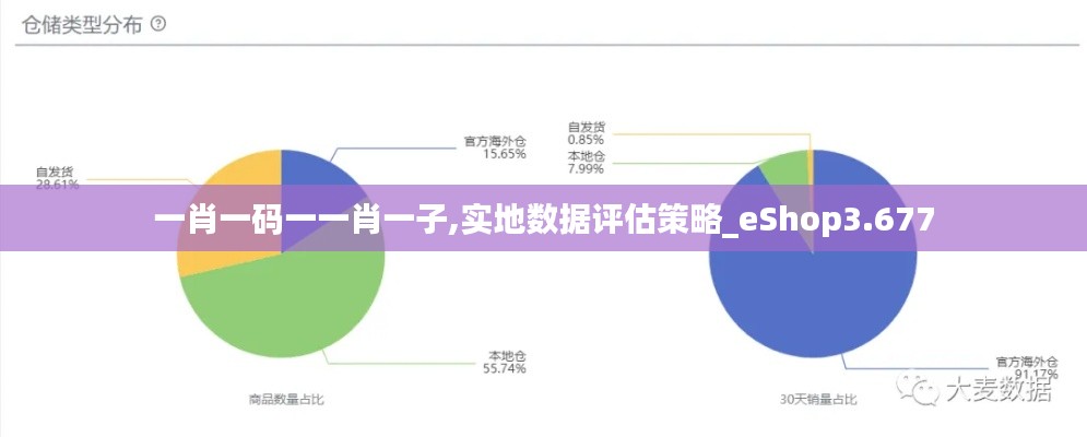 一肖一码一一肖一子,实地数据评估策略_eShop3.677