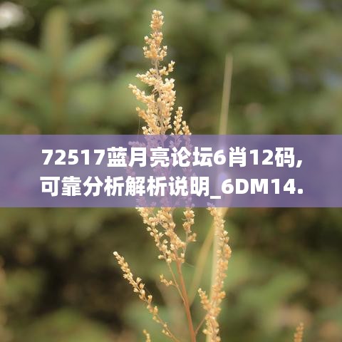 72517蓝月亮论坛6肖12码,可靠分析解析说明_6DM14.186