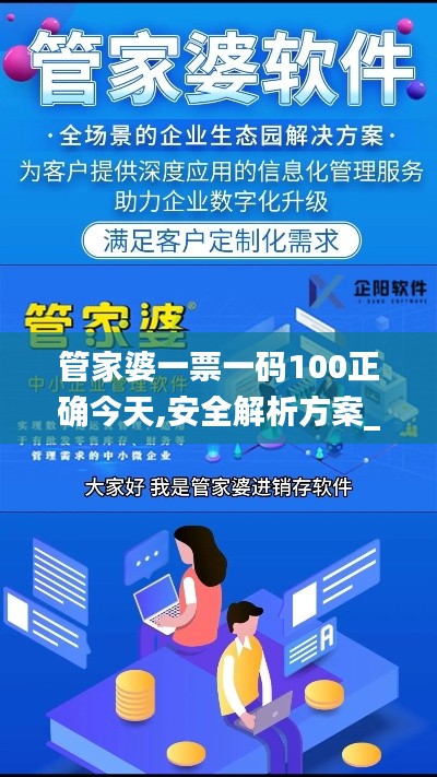 管家婆一票一码100正确今天,安全解析方案_X6.467