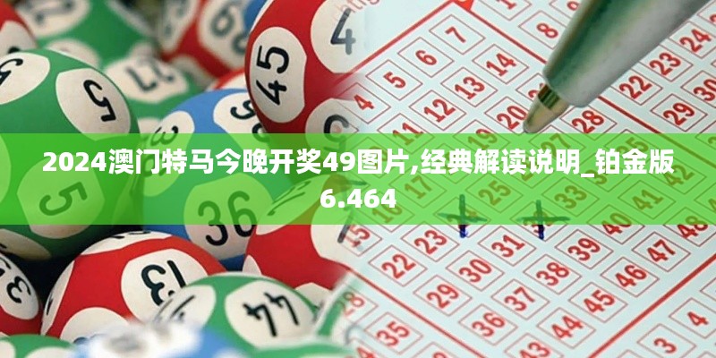 2024澳门特马今晚开奖49图片,经典解读说明_铂金版6.464