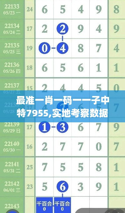 最准一肖一码一一子中特7955,实地考察数据解析_特供版6.831