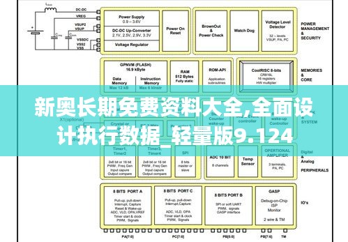 新奥长期免费资料大全,全面设计执行数据_轻量版9.124