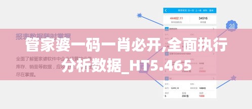 管家婆一码一肖必开,全面执行分析数据_HT5.465