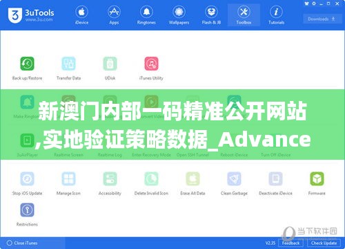 新澳门内部一码精准公开网站,实地验证策略数据_Advance16.204