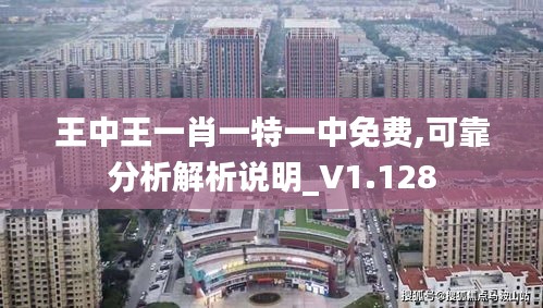 王中王一肖一特一中免费,可靠分析解析说明_V1.128