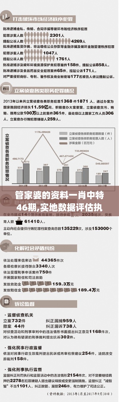 管家婆的资料一肖中特46期,实地数据评估执行_Holo5.848