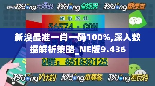 新溴最准一肖一码100%,深入数据解析策略_NE版9.436