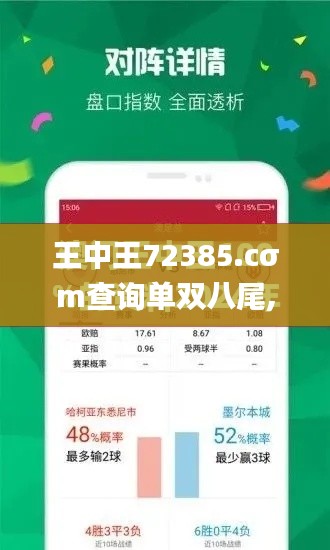 王中王72385.cσm查询单双八尾,实地方案验证策略_C版110.436