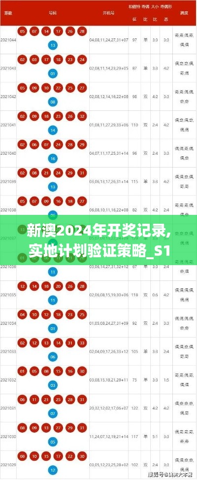 新澳2024年开奖记录,实地计划验证策略_S18.317