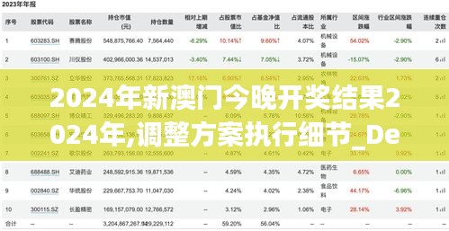 2024年新澳门今晚开奖结果2024年,调整方案执行细节_Deluxe9.603