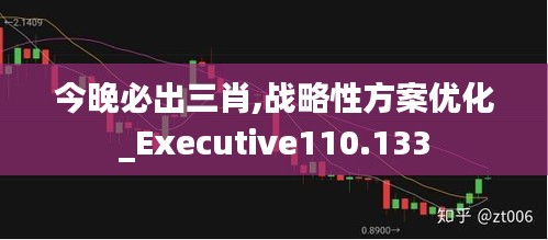 今晚必出三肖,战略性方案优化_Executive110.133