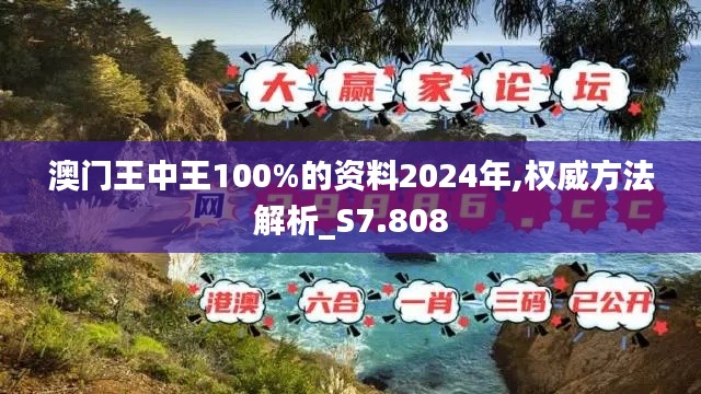 澳门王中王100%的资料2024年,权威方法解析_S7.808