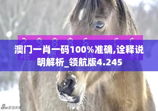 澳门一肖一码100%准确,诠释说明解析_领航版4.245