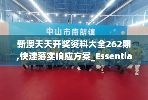 新澳天天开奖资料大全262期,快速落实响应方案_Essential3.934