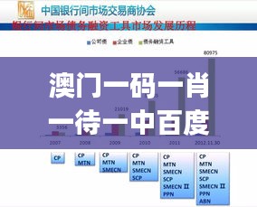 澳门一码一肖一待一中百度,最新正品解答定义_开发版9.398