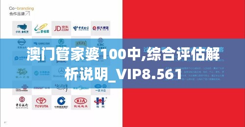 澳门管家婆100中,综合评估解析说明_VIP8.561