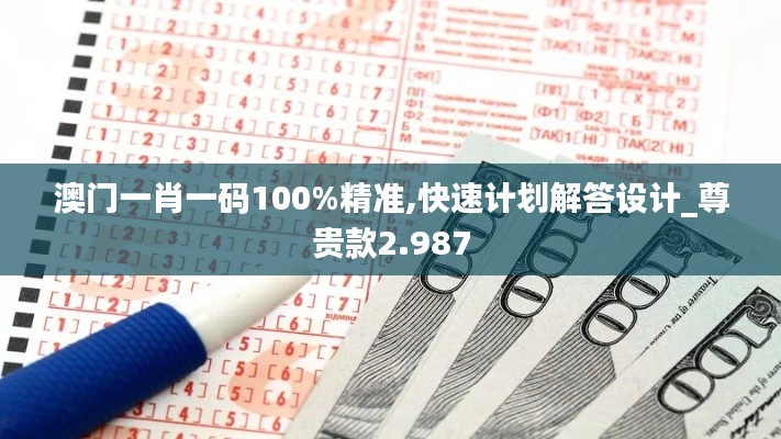 澳门一肖一码100%精准,快速计划解答设计_尊贵款2.987