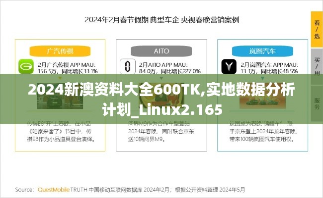 2024新澳资料大全600TK,实地数据分析计划_Linux2.165