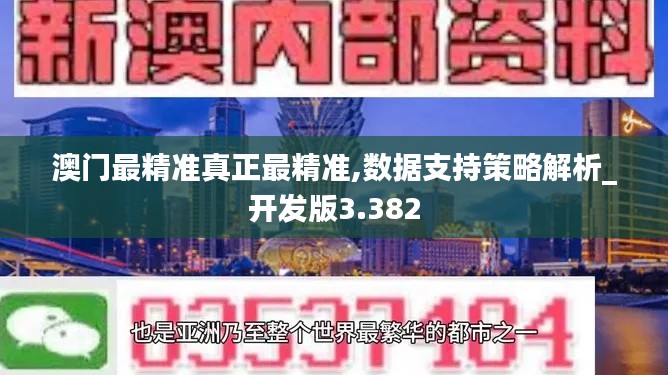 澳门最精准真正最精准,数据支持策略解析_开发版3.382