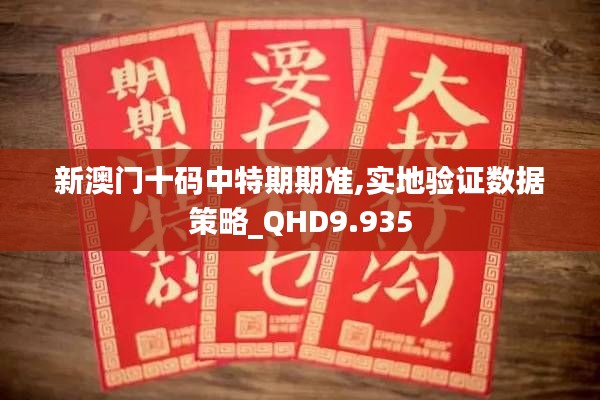 新澳门十码中特期期准,实地验证数据策略_QHD9.935