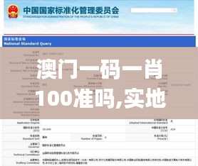 澳门一码一肖100准吗,实地计划验证数据_薄荷版5.344