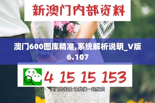 澳门600图库精准,系统解析说明_V版6.107