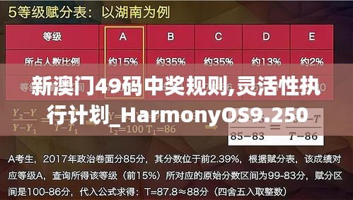 新澳门49码中奖规则,灵活性执行计划_HarmonyOS9.250