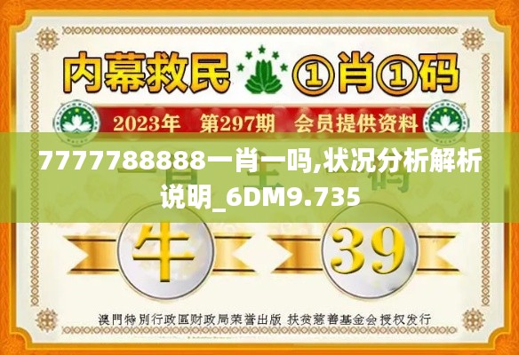 7777788888一肖一吗,状况分析解析说明_6DM9.735