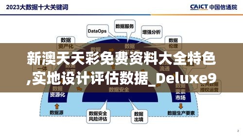 新澳天天彩免费资料大全特色,实地设计评估数据_Deluxe9.700