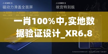 一肖100%中,实地数据验证设计_XR6.825