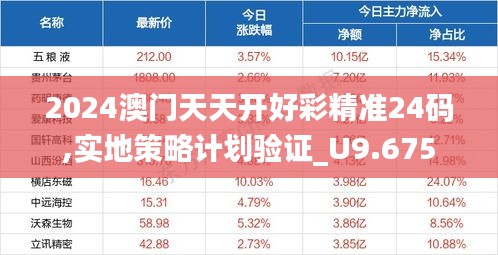 2024澳门天天开好彩精准24码,实地策略计划验证_U9.675