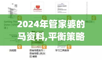 2024年管家婆的马资料,平衡策略指导_MR1.959