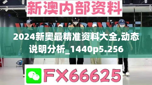 2024新奥最精准资料大全,动态说明分析_1440p5.256