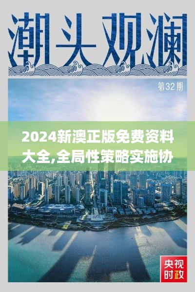 2024新澳正版免费资料大全,全局性策略实施协调_BT13.836