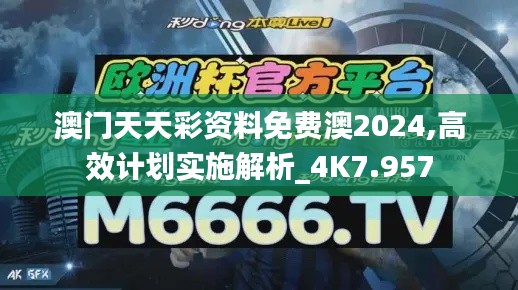 澳门天天彩资料免费澳2024,高效计划实施解析_4K7.957