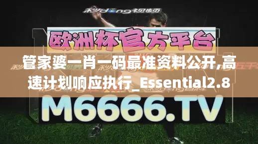 管家婆一肖一码最准资料公开,高速计划响应执行_Essential2.839