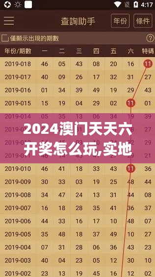 2024澳门天天六开奖怎么玩,实地执行考察方案_kit8.790