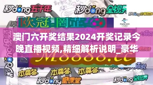 澳门六开奖结果2024开奖记录今晚直播视频,精细解析说明_豪华版2.137