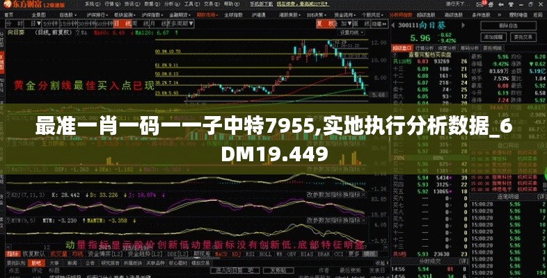 最准一肖一码一一子中特7955,实地执行分析数据_6DM19.449