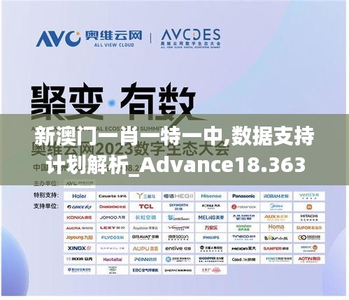 新澳门一肖一特一中,数据支持计划解析_Advance18.363