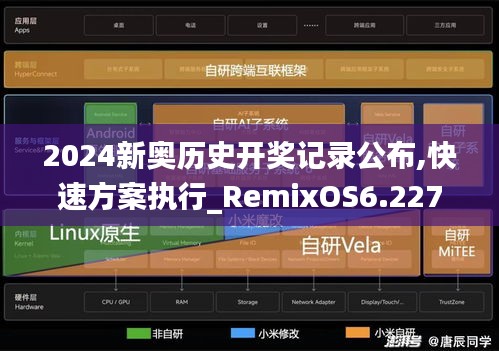 2024新奥历史开奖记录公布,快速方案执行_RemixOS6.227