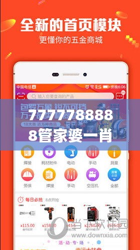 7777788888管家婆一肖码,定性解答解释定义_XP14.104